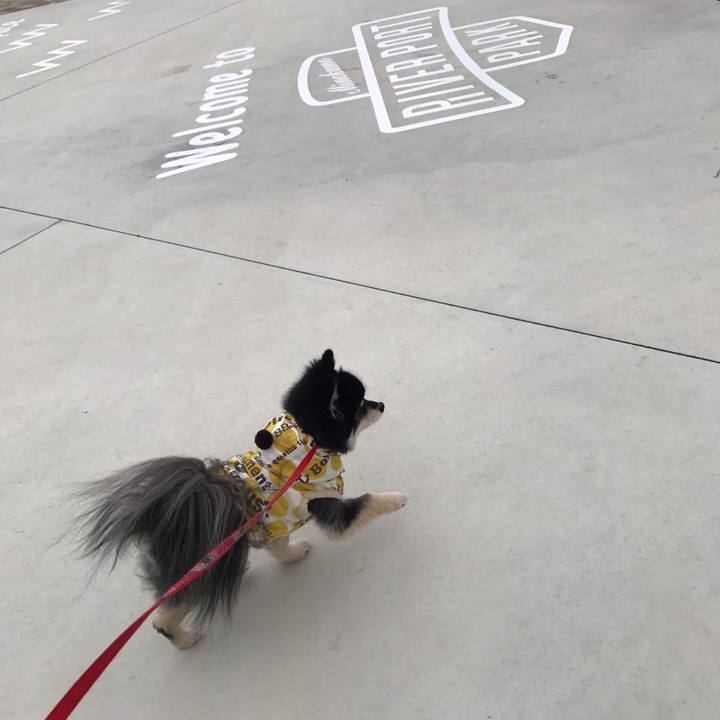 25fa8c71 619b 460b aaae b506f3b65c83 1548244752496