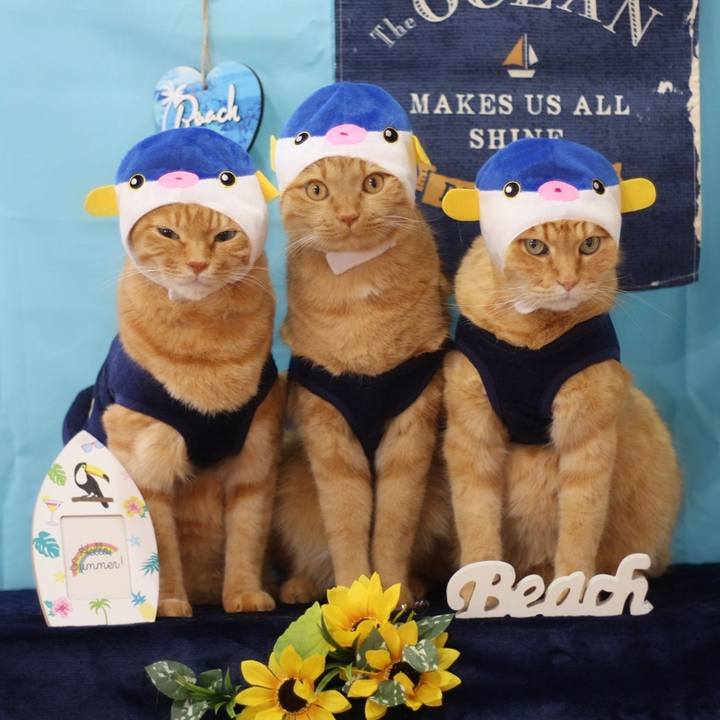 25fa99d0 53b2 44ba b817 af82d81f5331 1627783866414