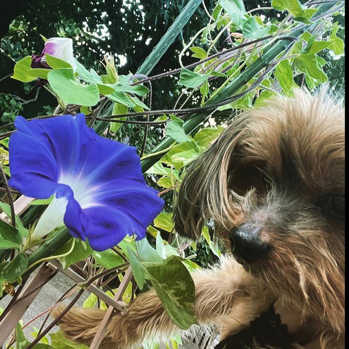 25fab0a0 366f 4455 ab17 f0d2c34287d9 1660166118453