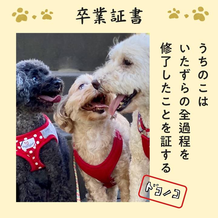 25fab10c 0f61 43a3 b512 284d2db3a33c 1771896879412