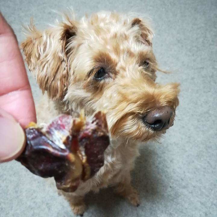 25faf9e7 24e5 4bbe 8624 2bbcdad1756a 1561637549093