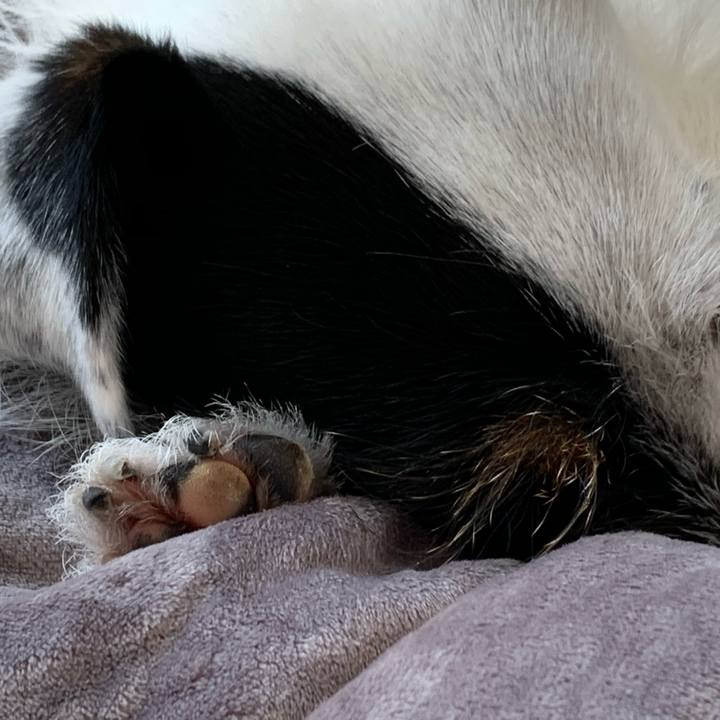 25fb08fc 72fc 4f9e 8819 d14e97f0549a 1593406462957