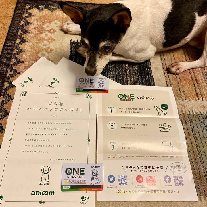 25fb8077 56db 4af7 9eba 5316461bf98a 1598180339204