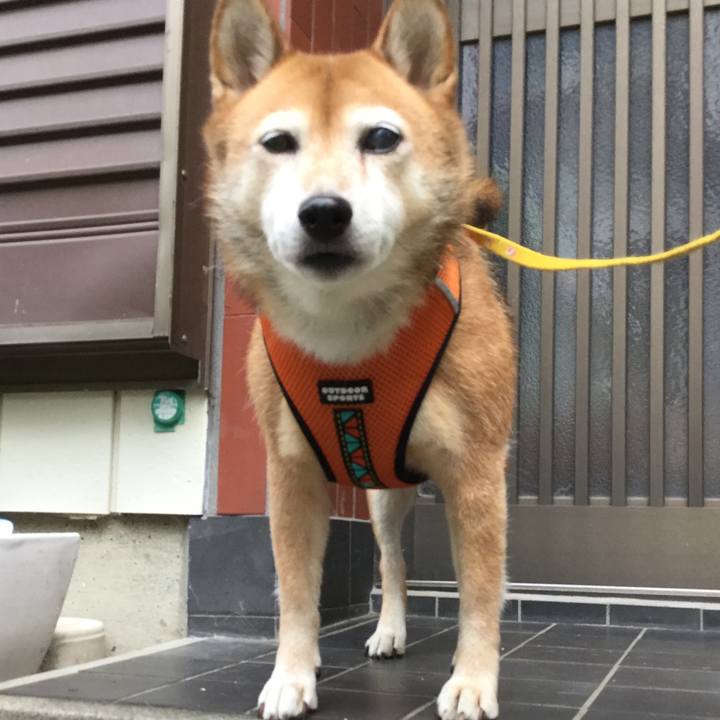 25fb8eb1 144b 443d be35 48d818ffd41e 1630224860206