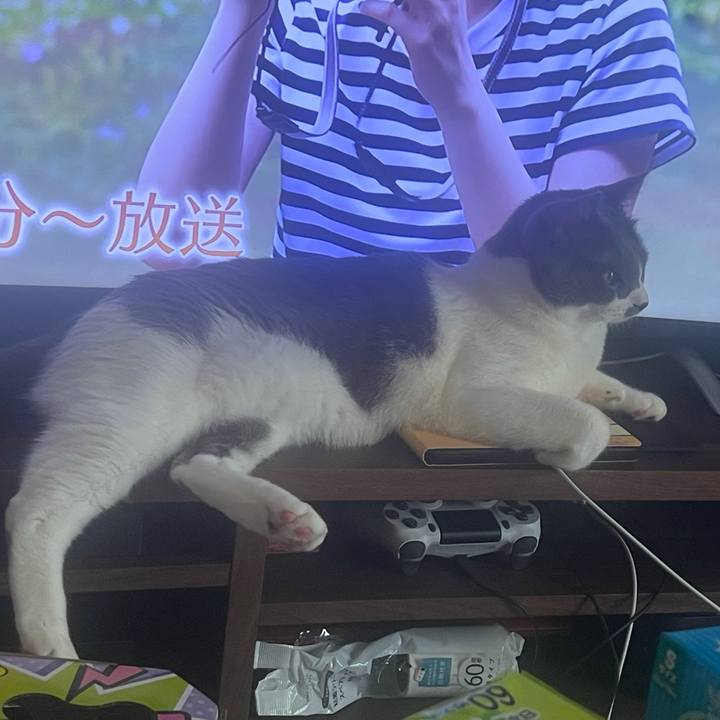 25fb981c fa59 4a1b 8a58 f4a43989cf6c 1630018676825