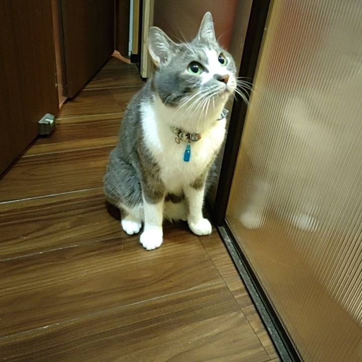 25fba3f1 452e 4aa9 acfc 3476a6e142a8 1687444204804