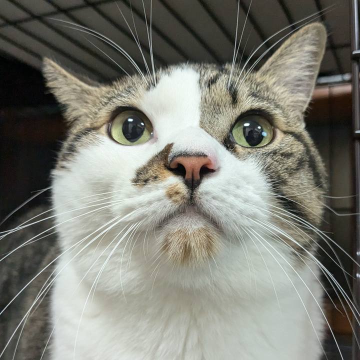 25fbc05c 19c0 4274 9430 18c0de40ef12 1730505427785