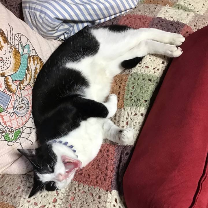 25fc0d03 46c3 46d0 b57e 8bbb30e1dfba 1638864969194