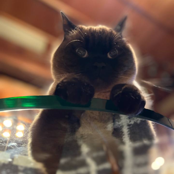 25fc1e98 4d07 4eaa 8691 67f14fda9663 1649936171404