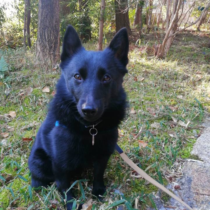 25fc6161 20e1 468e ab3d 434c2f7dfa2a 1613865577194