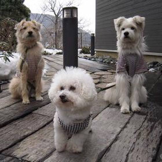 25fc67c7 38d2 4a90 a91e 5bdb20fde877 1648550397193