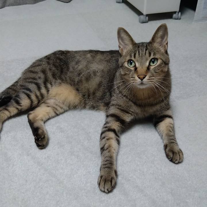 25fc768b 1975 47ed a8a4 5db94c943b95 1664878403376