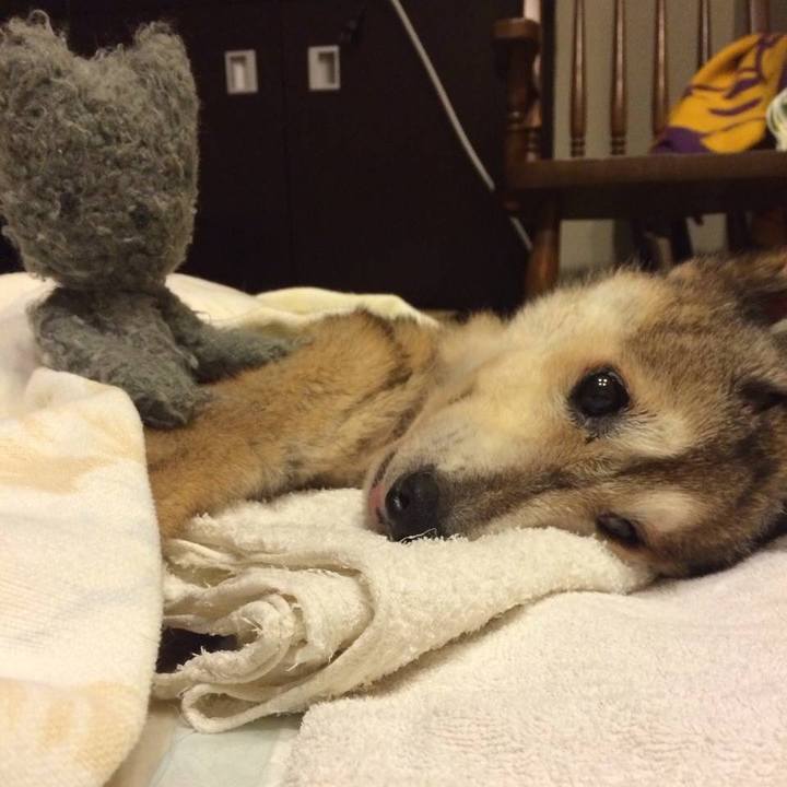 25fc9843 f2a9 4ca1 8b88 ac1f06fd3446 1602761318347