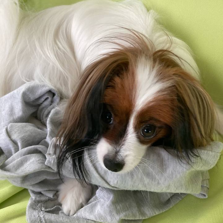 25fca00b 4494 4392 9374 c543f4d91c48 1630622945560