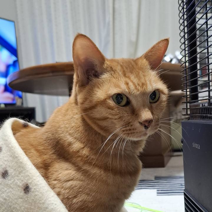 25fcbf47 77e5 4a50 bf7c c868d1f066ed 1738229434987