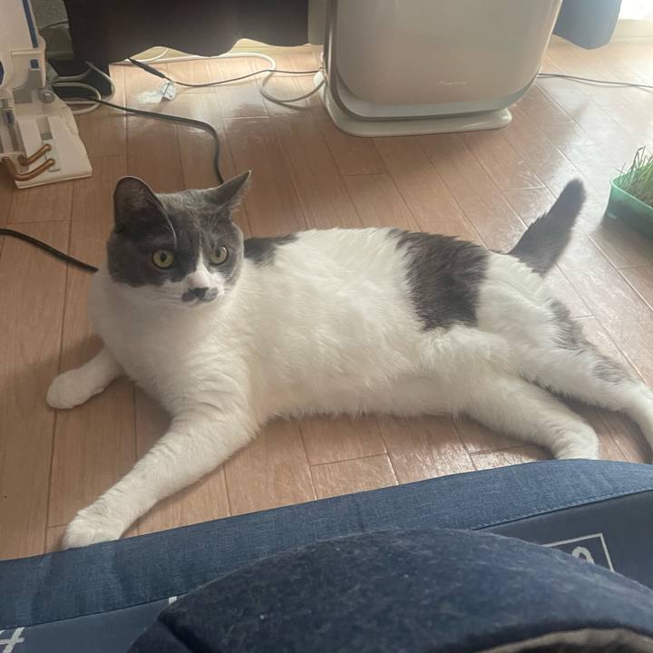 25fcc6a7 9acc 4e5e 91df 55e4de0a7834 1693870917313