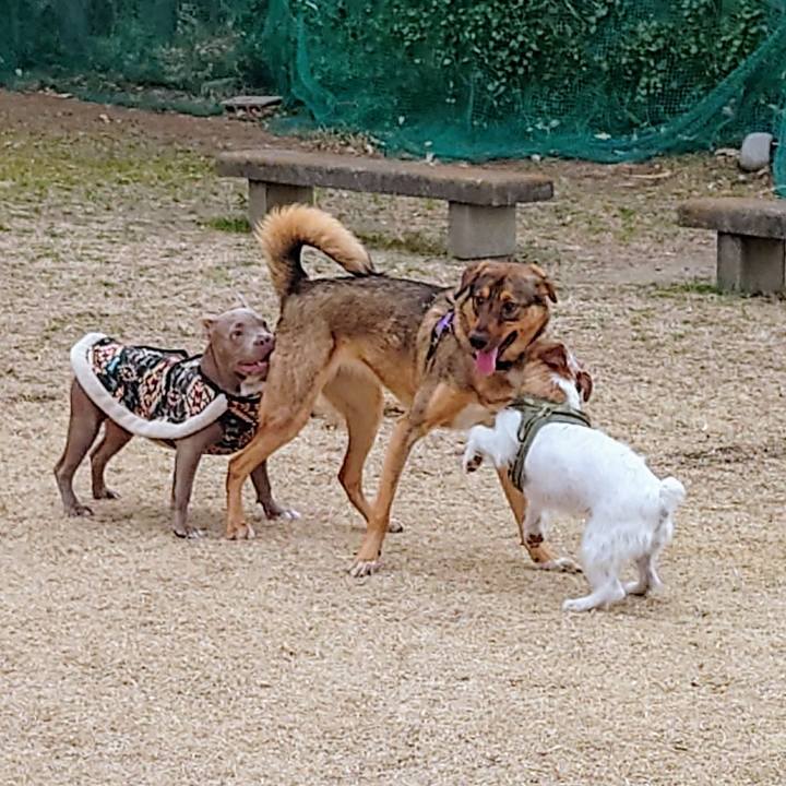 25fce0f3 246c 4bc6 ba50 4515e2c2bee1 1707012027922