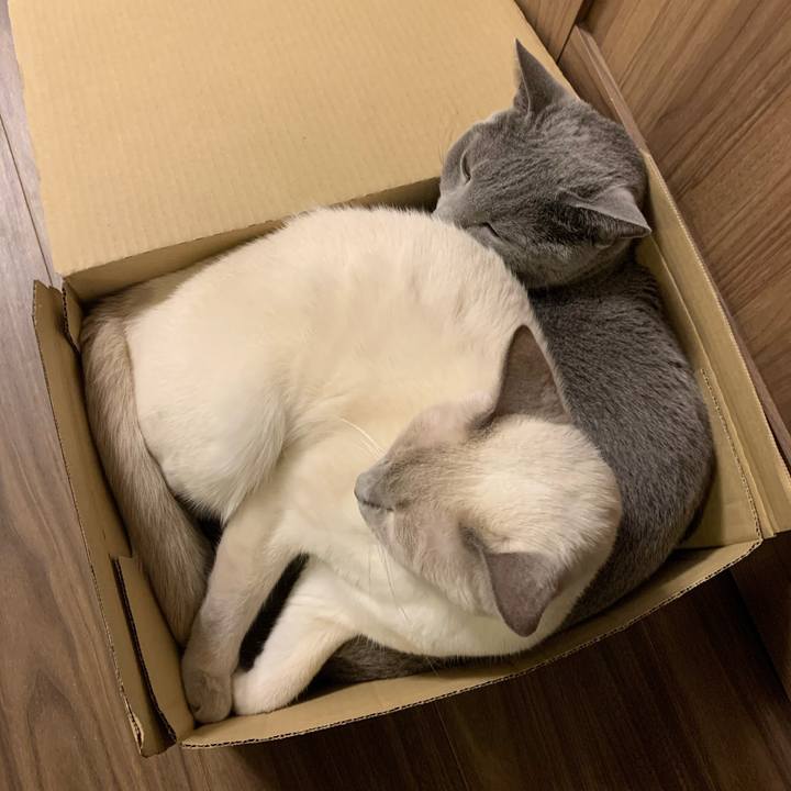 25fce672 a6a5 4ee3 9956 31e6f0af82d4 1736644603564