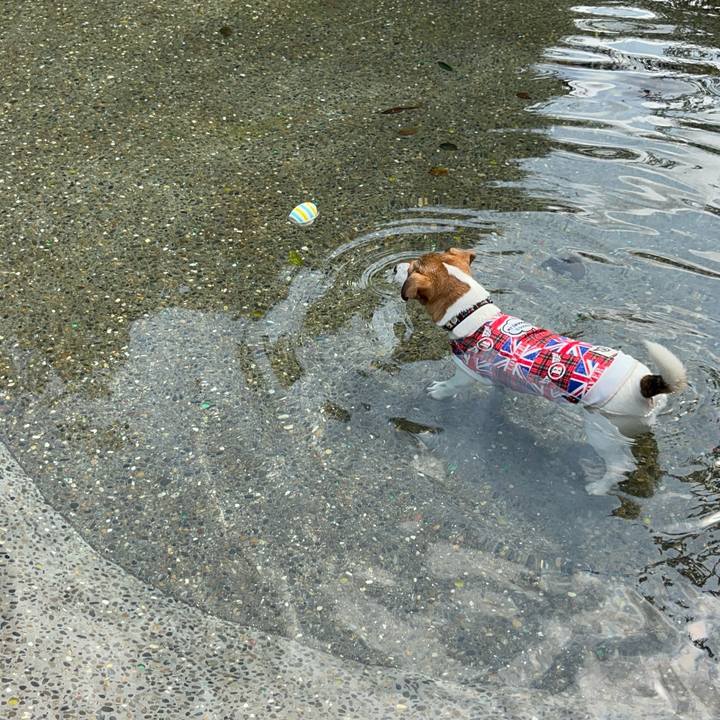 25fcf9df c03d 4277 83ff d365eb0f58d2 1758002079654