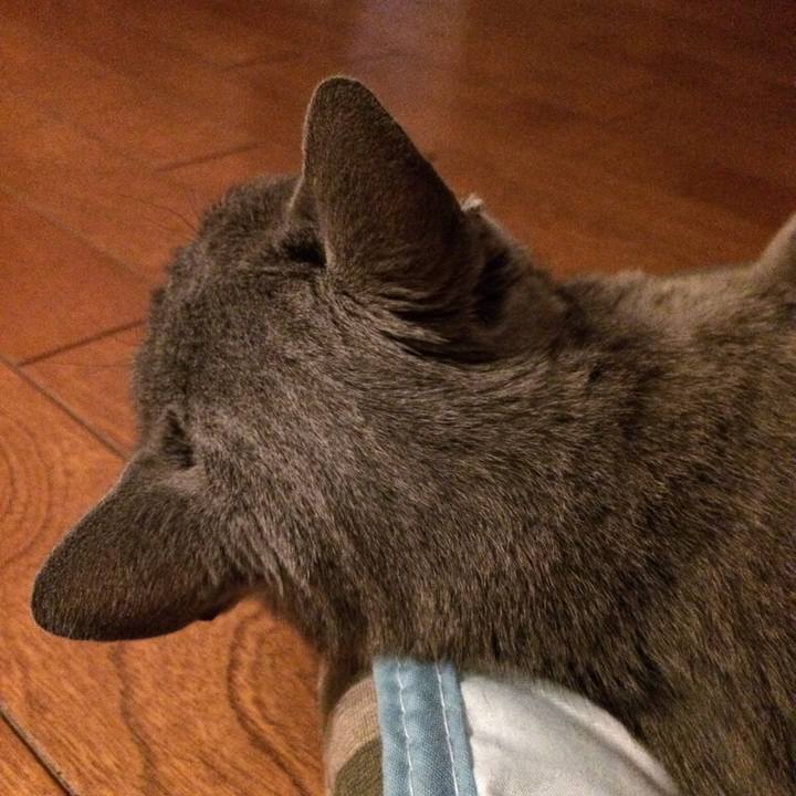 25fcff92 256b 4f90 b9b1 551e6e8a0525 1534421863651