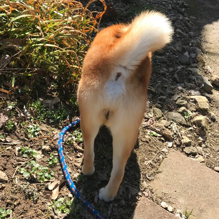 25fd1a92 eec0 44dc b201 8f518a375d39 1520165111514