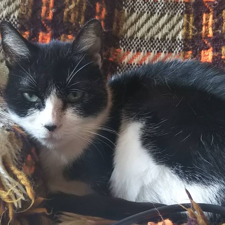 25fd1d62 c1aa 4c1c aa5a b29a6075dad0 1707323492255