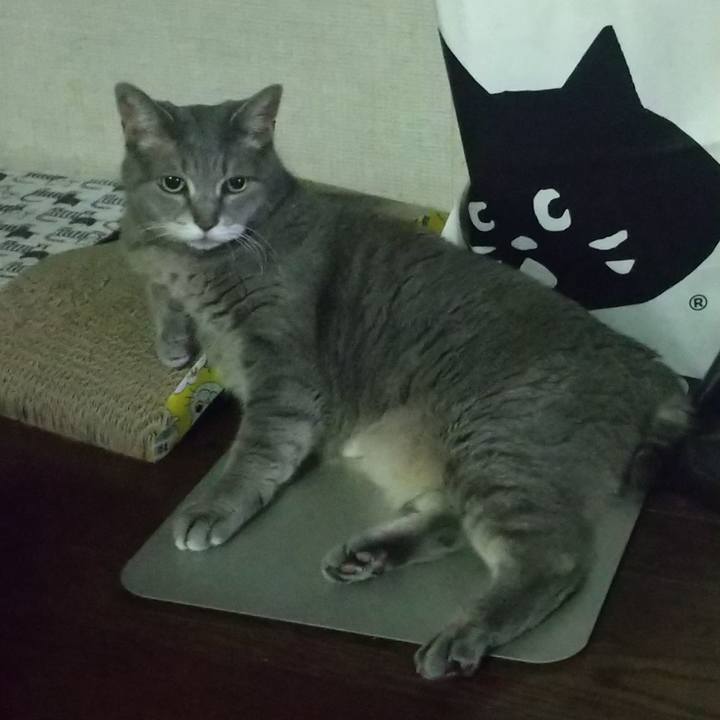 25fd1faf f363 4590 ab13 d32494a377ff 1658394015625