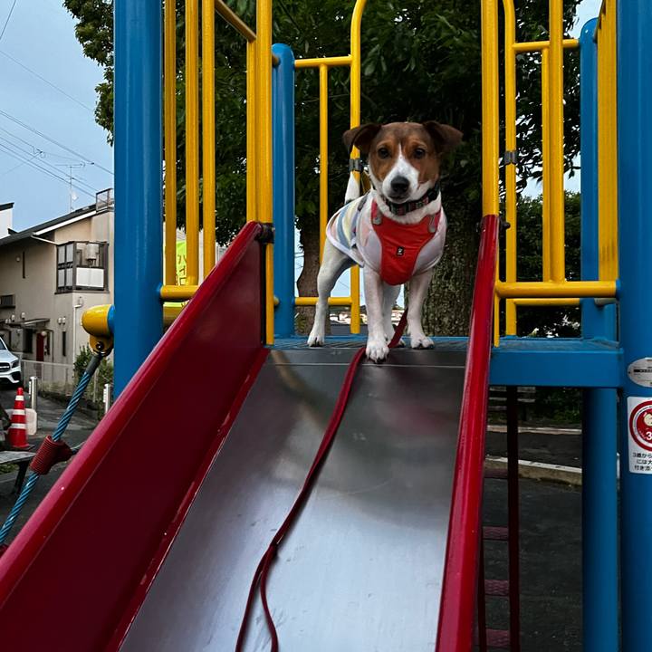 25fd4aba 0d8a 4571 b444 694efab23c11 1746953918692