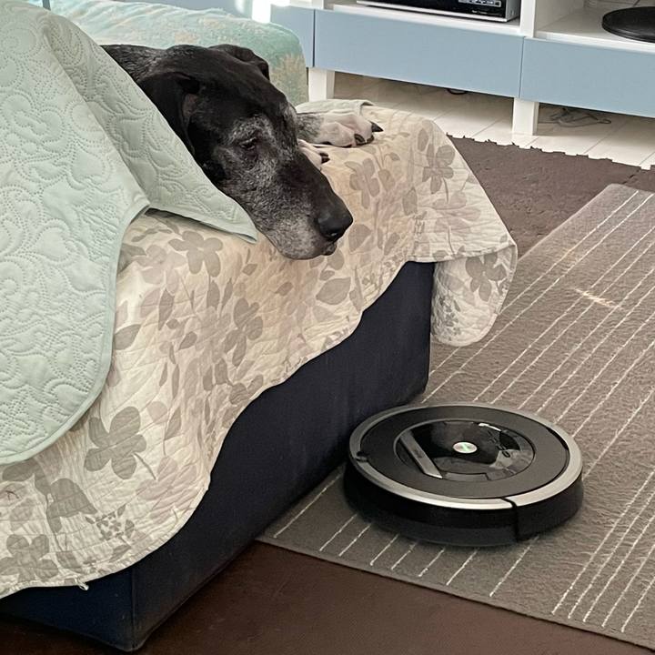 25fd63f6 cc2b 4936 8457 3510ffc6b99f 1632524262898