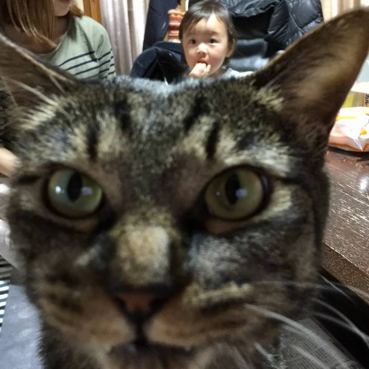 25fdbae4 e02f 41c0 ba8c f5568de76534 1527318621165