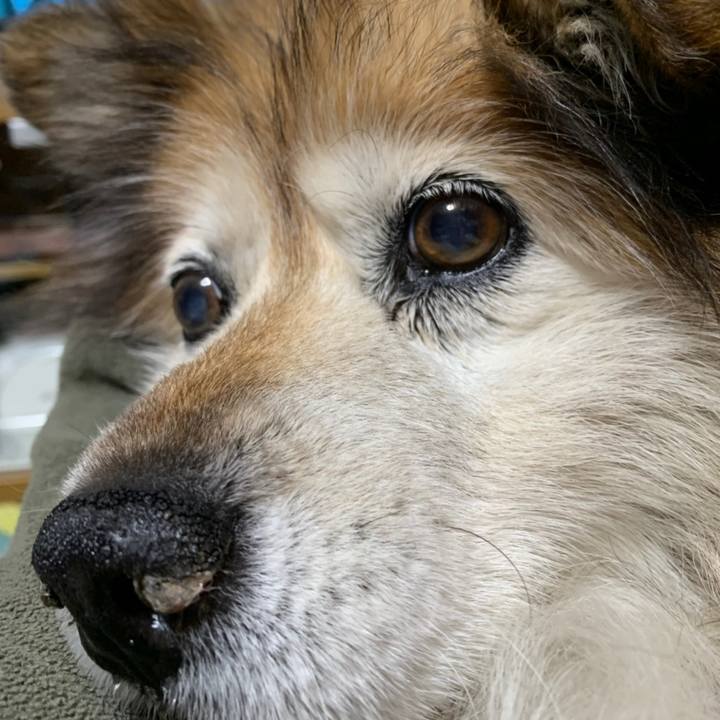 25fdcd40 3a9f 4610 be39 f5da6759caa7 1561797639618