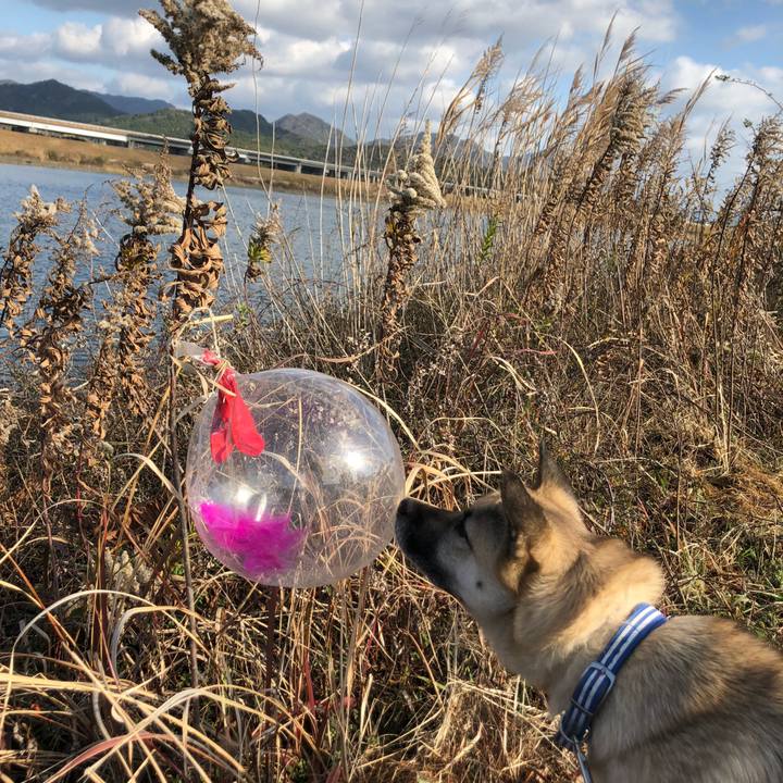 25fde1a8 a80f 44d5 8152 eb09b9c9368b 1577779219642