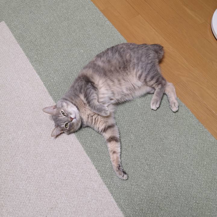 25fdf320 6454 46fa a645 1abcc6191604 1588255343038