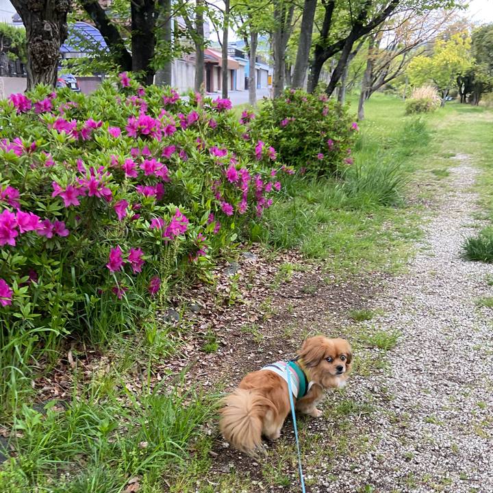 25fe1d80 cd4a 4b9d 9aa9 83ab991a40ba 1618522096519