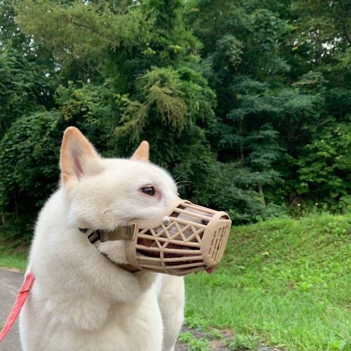 25fe7efb 53c9 452b 955a d0c60ec9bf4a 1597870812207