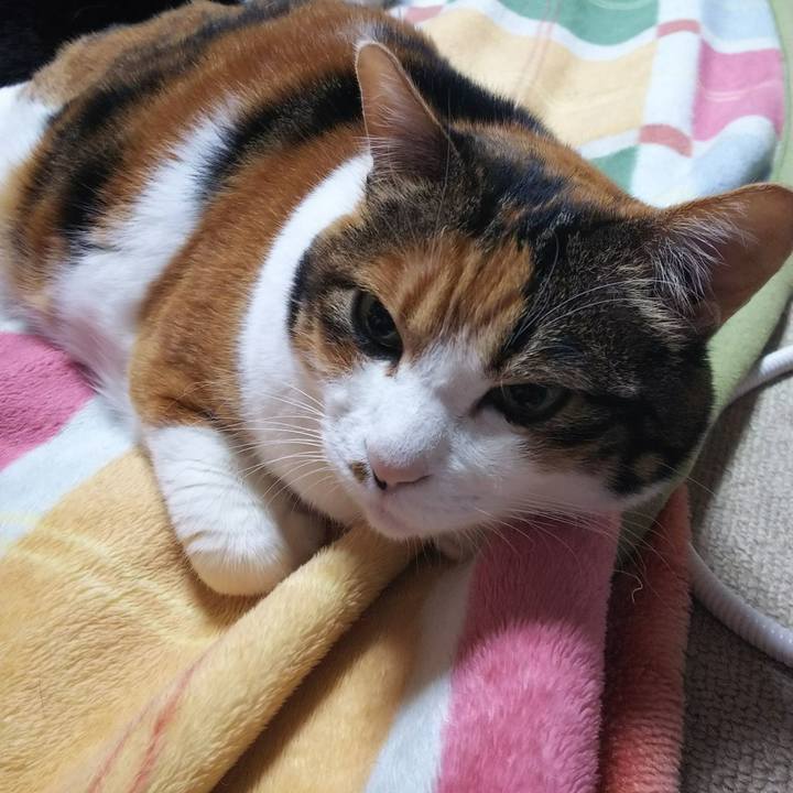 25feaea5 805b 422b 9b57 b6c605c277e6 1542058996518