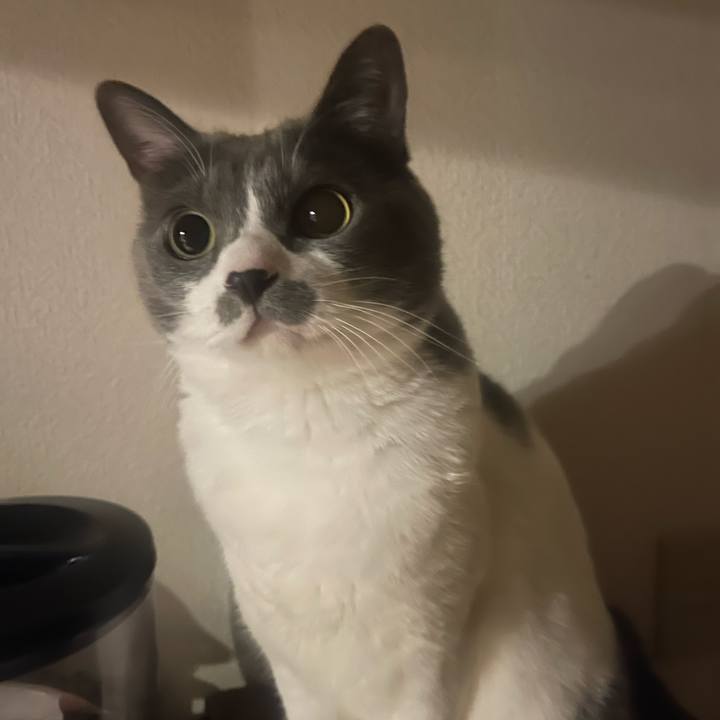 25ff02c5 9139 4eee a4d5 48351fd0bd33 1732554054971