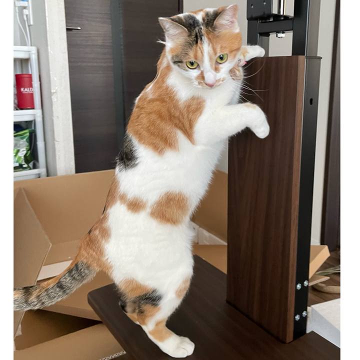 25ff0d12 68aa 41c1 9c59 8f2992430962 1644553999909