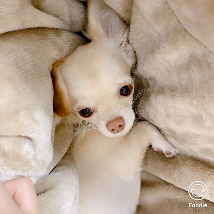 25ff1d94 7113 41f7 89b4 224dc12dfd03 1604563922819