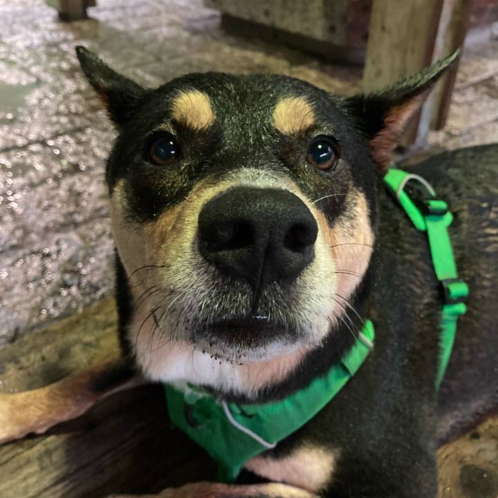 25ff323f d1f2 4ea5 9ef6 fc5a24d25f2c 1594541326713