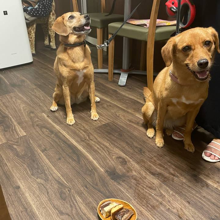 25ff6bb5 bf5e 4dda b70e 41bf4aca9627 1628437787216