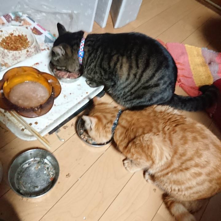 25ffe177 65d1 4466 9a41 11ac3abf4d94 1640467781320