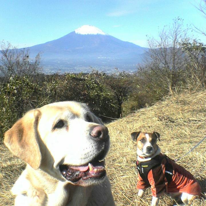 26001cac 6d4d 4b2d 80c6 3d2f0ea16dc1 1565605519051