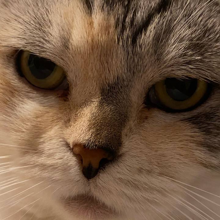 26002291 484e 406a 8fd2 9985863da2a9 1625293086936