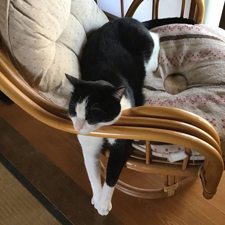 26002710 78f0 45ff bd04 3cd29bb66adf 1691759043925