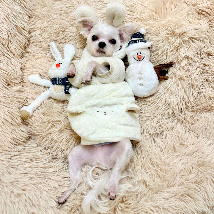 260047c6 4dde 412d b476 8a54ab25abcc 1678353278490