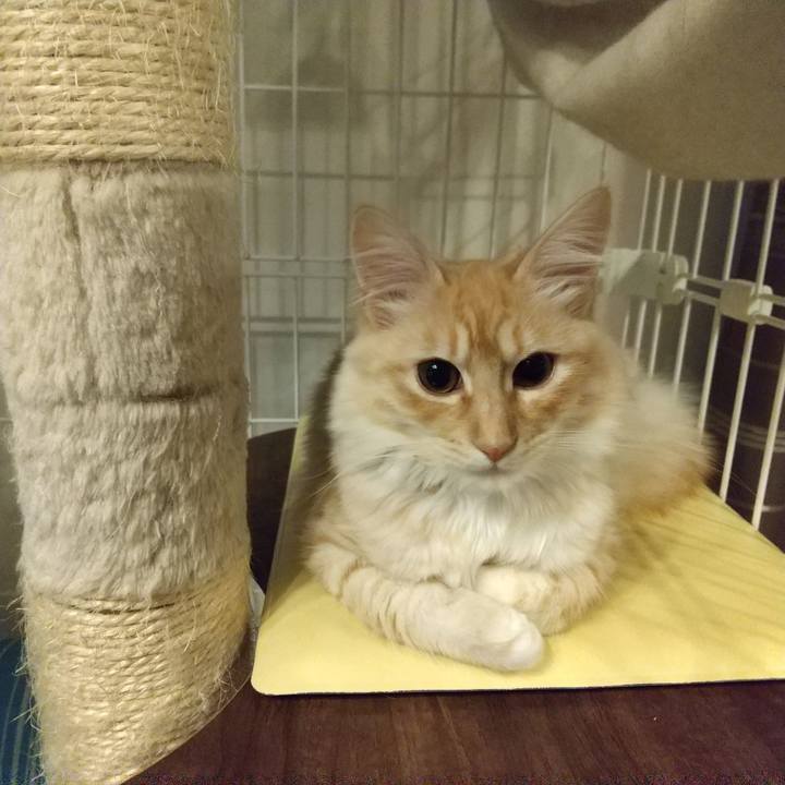 2600488f 246a 4dcb b5f1 bc6bc0e9322a 1613597570011