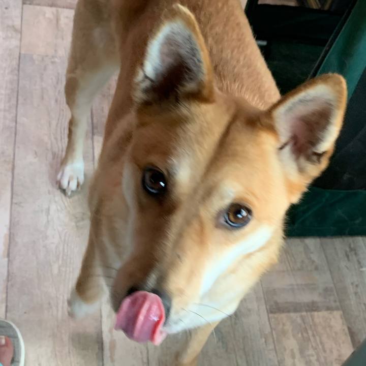 2600917d 45ce 4645 99f1 fa64555107c3 1589622779164