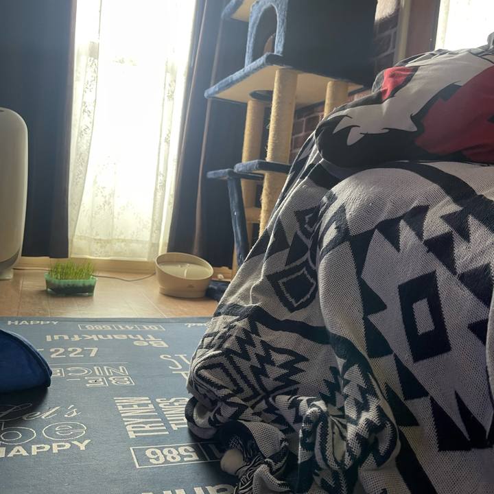 2600959e d886 4f4b afdd 87b4bdbc9849 1691563544132