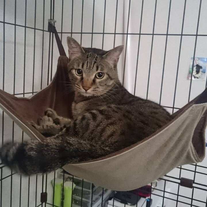 2600a0ec 7d47 4a2d 8562 98aae2120b6d 1509154943964